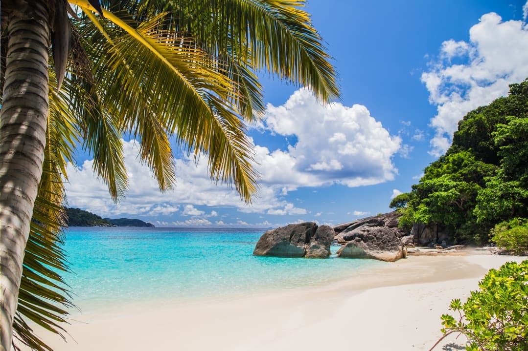 Alles über Ausflüge zu den Similan-Inseln