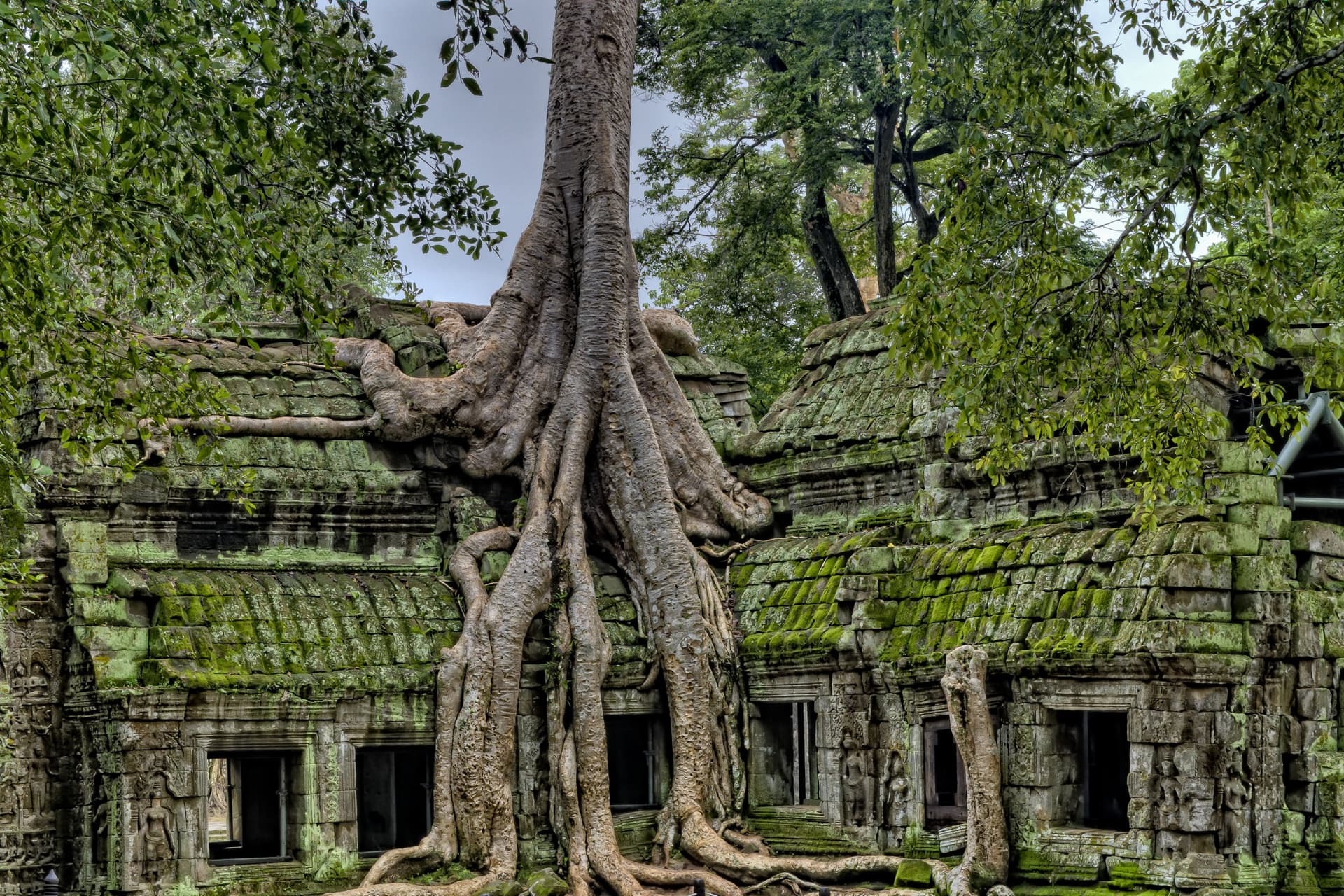 Ta Prohm